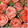 Букет Кахала из 11 роз